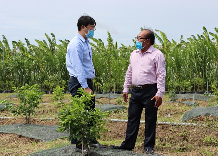 B&amp;iacute; thư Tỉnh uỷ L&amp;ecirc; Quốc Phong (b&amp;ecirc;n tr&amp;aacute;i) đ&amp;aacute;nh gi&amp;aacute; cao t&amp;iacute;nh chủ động, s&amp;aacute;ng tạo  của &amp;ocirc;ng Trần Th&amp;agrave;nh T&amp;acirc;m trong việc nghi&amp;ecirc;n cứu giải ph&amp;aacute;p cải tạo bộ rễ  c&amp;acirc;y qu&amp;yacute;t hồng của Lai Vung