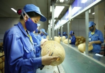 Thành phố Hà Nội tiếp tục triển khai nhiều giải pháp hỗ trợ doanh nghiệp
