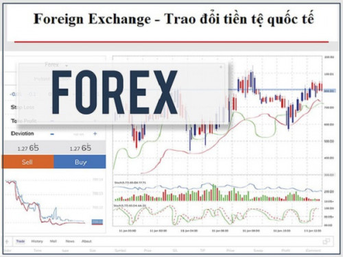 Thủ đoạn của sàn giao dịch Forex: Thả con săn sắt... bắt con cá rô!