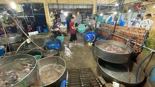 C&amp;ocirc;ng ty TNHH Ch&amp;acirc;u Việt Long đ&amp;atilde; tự &amp;yacute; lắp đặt thiết bị, đường ống hoặc c&amp;aacute;c đường thải kh&amp;aacute;c để xả chất thải ph&amp;aacute;t sinh từ hoạt động của chợ đầu mối thủy hải sản Long Xuy&amp;ecirc;n kh&amp;ocirc;ng qua xử ra l&amp;yacute; m&amp;ocirc;i trường (ảnh chụp ng&amp;agrave;y 20/4/2021). (Ảnh: C&amp;ocirc;ng Mạo/TTXVN)