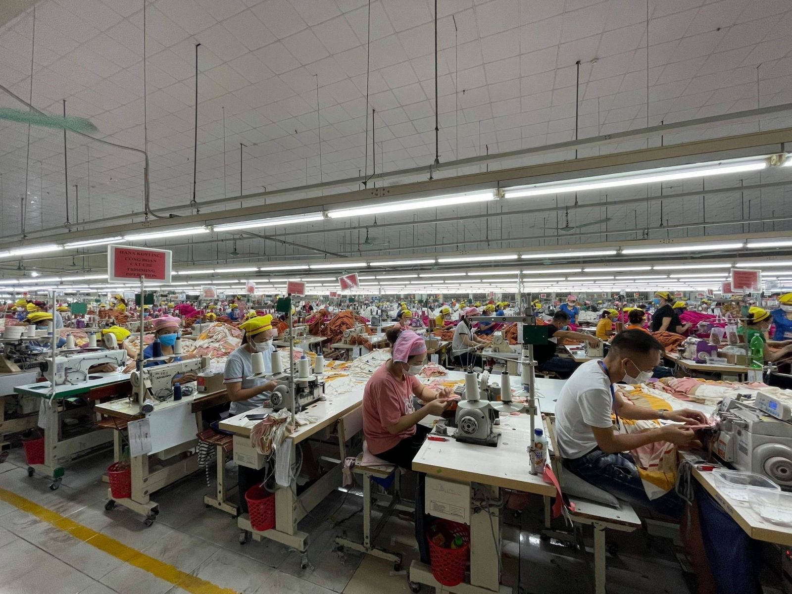 C&amp;aacute;c c&amp;ocirc;ng nh&amp;acirc;n l&amp;agrave;m việc tại C&amp;ocirc;ng ty TNHH Hana Kovi Việt Nam