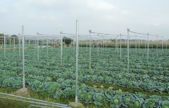 Sản xuất n&amp;ocirc;ng nghiệp c&amp;ocirc;ng nghệ cao, n&amp;ocirc;ng nghiệp hữu cơ l&amp;agrave; hướng đi quan trọng để hướng tới sự ph&amp;aacute;t triển bền vững. Ảnh: Internet