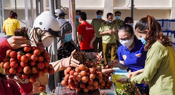 Người d&amp;acirc;n mua vải thiều tại điểm b&amp;aacute;n số 70 Quang Trung, TP.Quảng Ng&amp;atilde;i