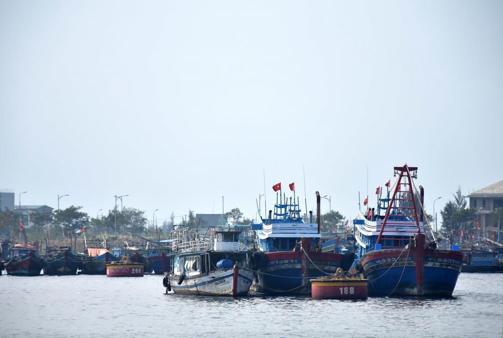 Năng suất của c&amp;aacute;c t&amp;agrave;u c&amp;aacute; ở tỉnh Ki&amp;ecirc;n Giang tăng trong giai đoạn 2017-2020