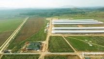 Nhiều doanh nghiệp xoay trở tìm nguyên liệu