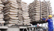 Logistics Vicem cố tăng doanh thu nhưng mục tiêu lãi giảm