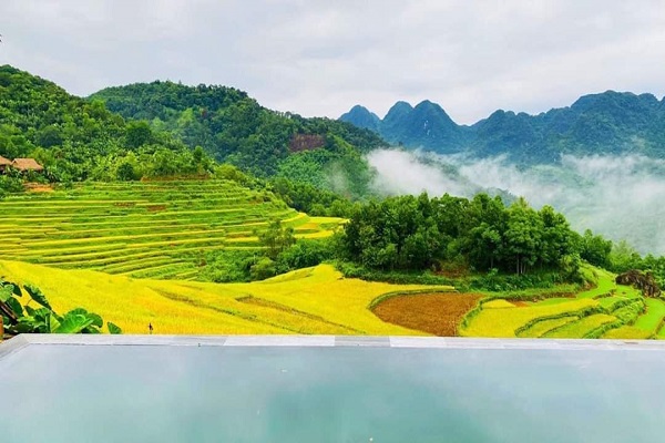 P&amp;ugrave; Lu&amp;ocirc;ng m&amp;ugrave;a l&amp;uacute;a ch&amp;iacute;n nhưng vắng tanh  kh&amp;aacute;ch du lịch v&amp;igrave; dịch bệnh