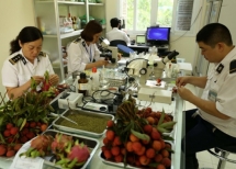 Chính sách thuế, doanh nghiệp có hiệu lực từ tháng 7/2021