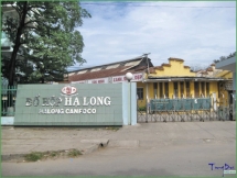 Đồ hộp Hạ Long lỗ ròng trong quý I vẫn đặt mục tiêu lãi ròng tăng 91%