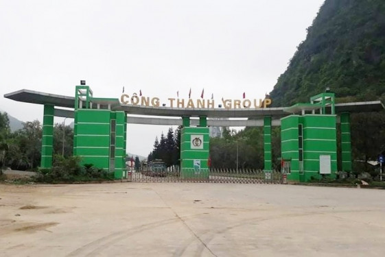 Kiểm toán nghi ngờ khả năng hoạt động của Xi măng Công Thanh