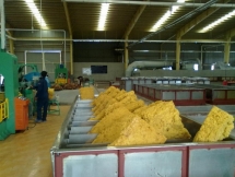 Xuất khẩu cao su tháng 5 tăng trên 40% so với cùng kỳ năm ngoái