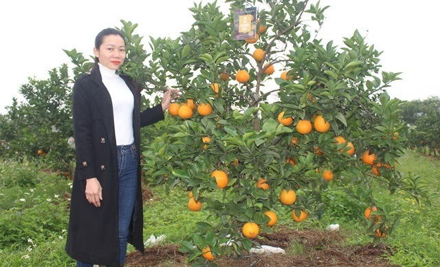 Ảnh minh họa