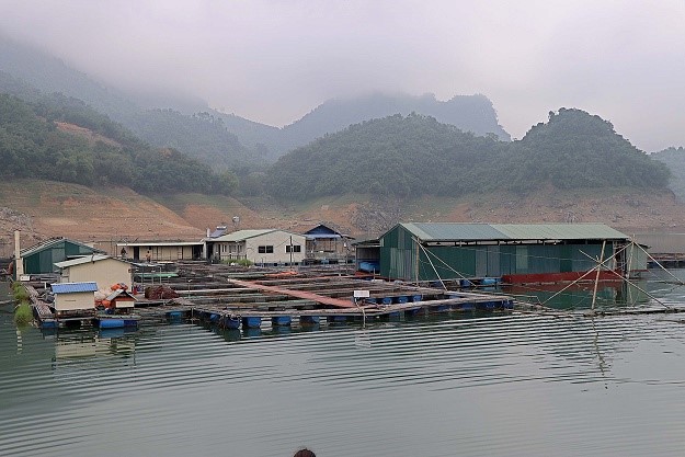 Ảnh minh họa Ảnh minh họa