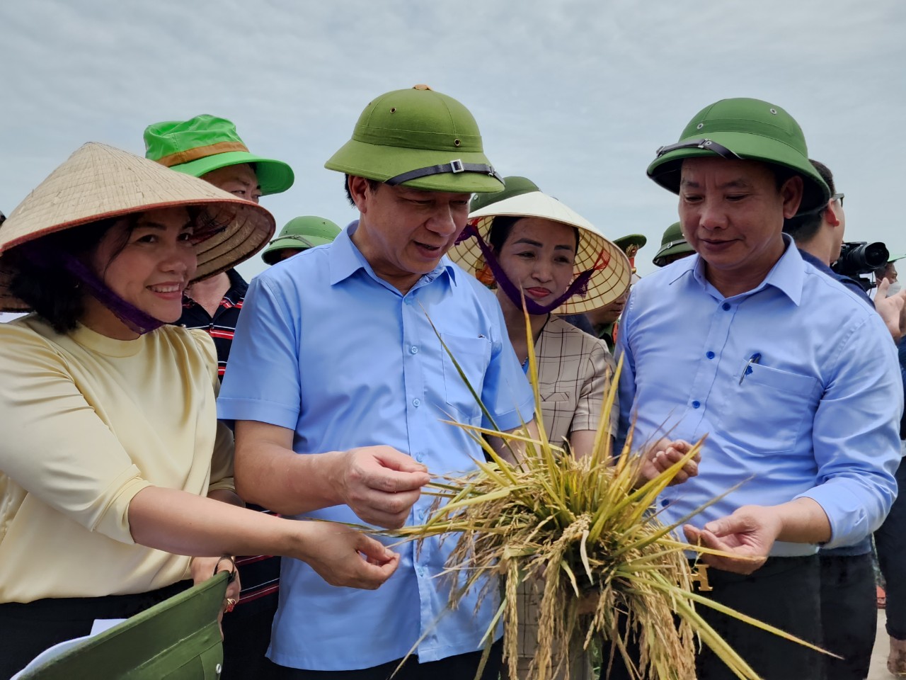 B&amp;iacute; thư Tỉnh ủy Phạm Xu&amp;acirc;n Thăng thăm ruộng l&amp;uacute;a - rươi hữu cơ Tứ Kỳ.