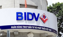 BIDV đấu giá khoản nợ của Công ty TNHH XD và KD nhà Bách Giang
