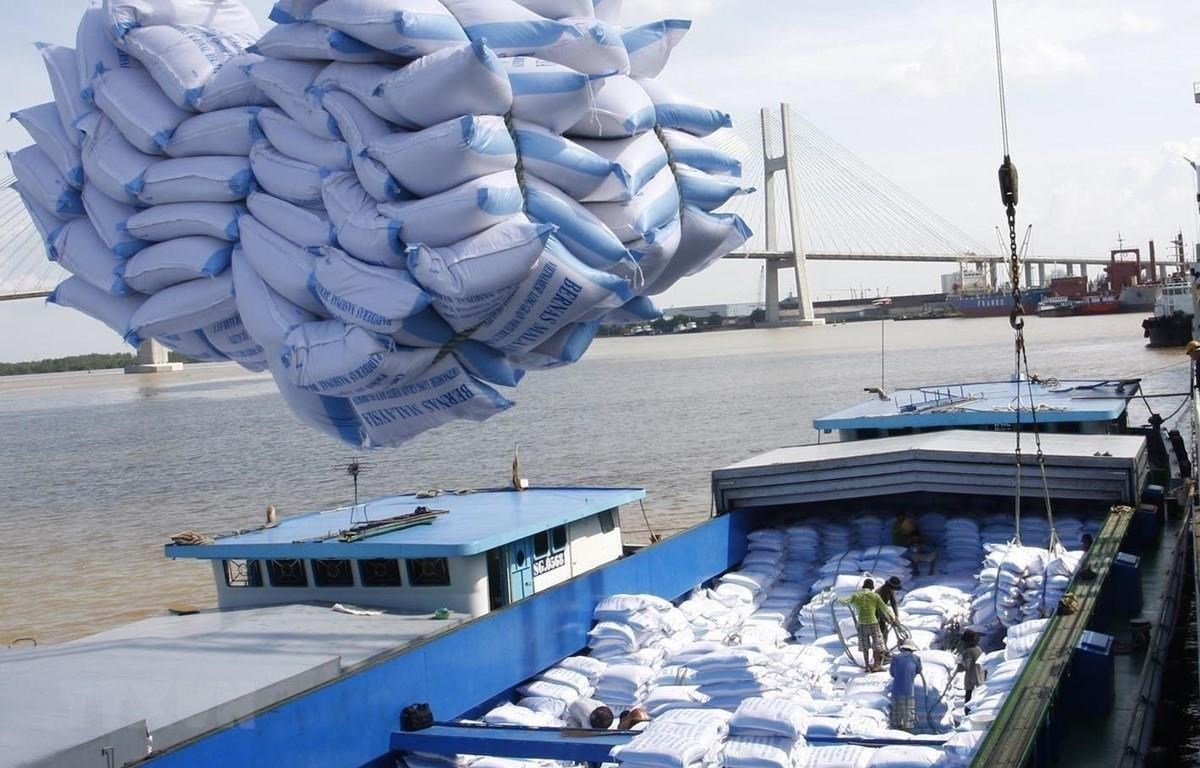 Cần sớm giảm chi ph&amp;iacute; logistics để n&amp;acirc;ng sức cạnh tranh cho gạo Việt Nam