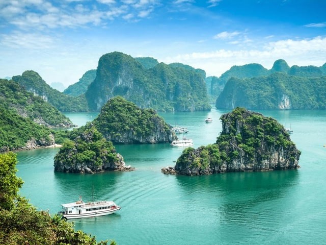 Ảnh minh họa