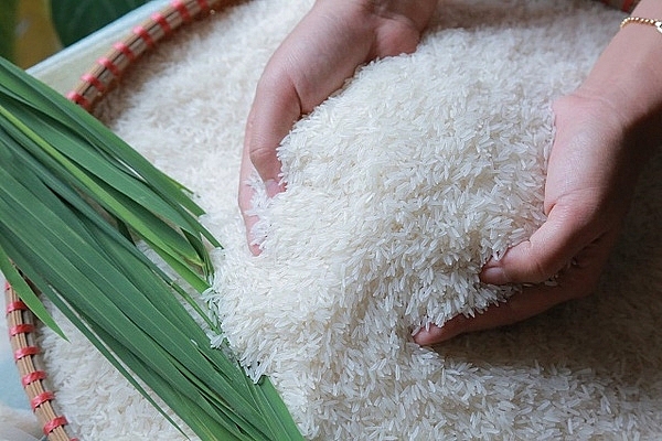 Mỗi năm phải sản xuất &amp;iacute;t nhất 35 triệu tấn l&amp;uacute;a để bảo đảm an ninh lương thực