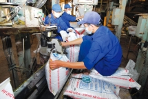 Phân bón và Hóa chất Dầu khí Tây Nam Bộ sẽ trả cổ tức tiền mặt tỷ lệ 17%