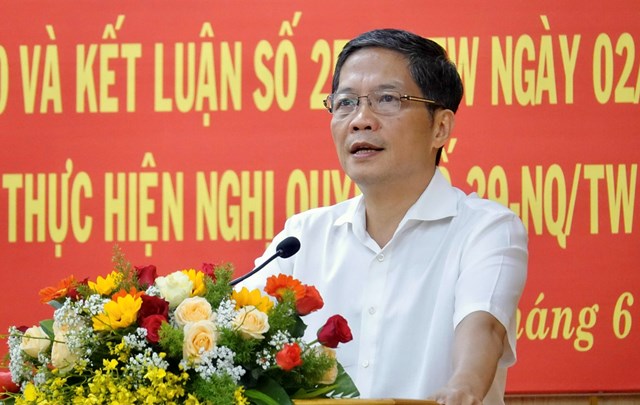 Đồng ch&amp;iacute; Trần Tuấn Anh Trưởng ban Kinh tế Trung ương : Quảng Ng&amp;atilde;i cần phải xem li&amp;ecirc;n kết l&amp;agrave; một trong những động lực để ph&amp;aacute;t triển
