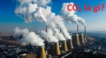 Việt Nam sẽ yêu cầu bắt buộc báo cáo phát thải khí nhà kính với đối tượng nào?