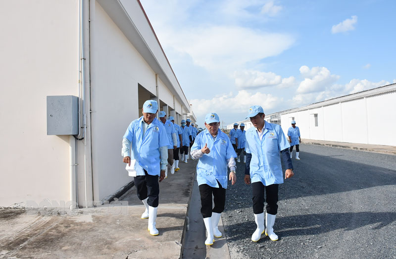 Chủ tịch UBND tỉnh Trần Ngọc Tam đến thăm doanh nghiệp sản xuất t&amp;ocirc;m giống tại huyện Ba Tri.