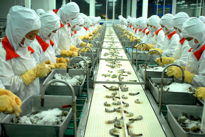 Thực phẩm Sao Ta ghi nhận doanh thu thấp nhất kể từ năm 2022