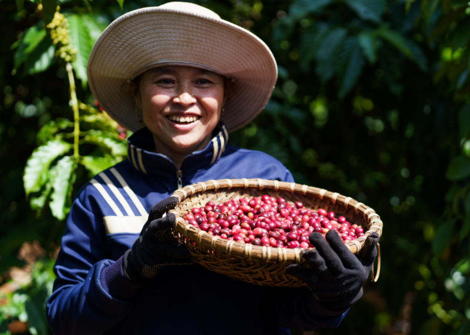 Người n&amp;ocirc;ng d&amp;acirc;n trồng c&amp;agrave; ph&amp;ecirc; tham gia v&amp;agrave;o chương tr&amp;igrave;nh NESCAF&amp;Eacute; Plan