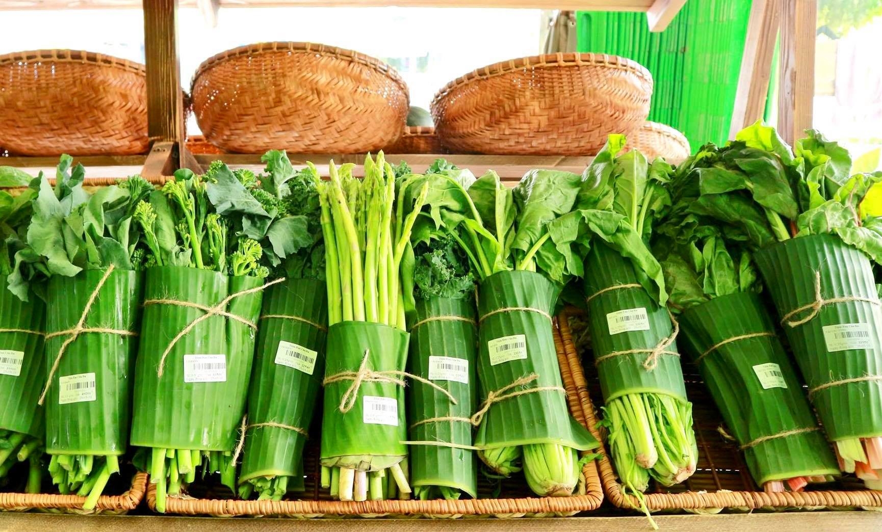 TP Hồ Ch&amp;iacute; Minh k&amp;iacute;ch hoạt