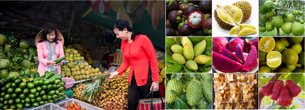 Gian h&amp;agrave;ng tr&amp;aacute;i c&amp;acirc;y