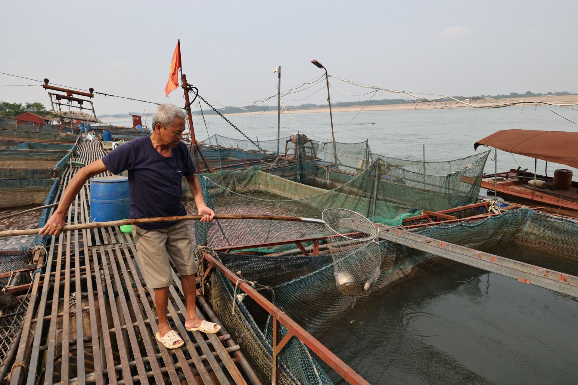 Do mực nước giảm, lồng c&amp;aacute; nằm s&amp;aacute;t mặt nước, chịu t&amp;aacute;c động trực tiếp của &amp;aacute;nh nắng mặt trời, n&amp;ecirc;n c&amp;aacute; rất dễ bị ngạt, chết