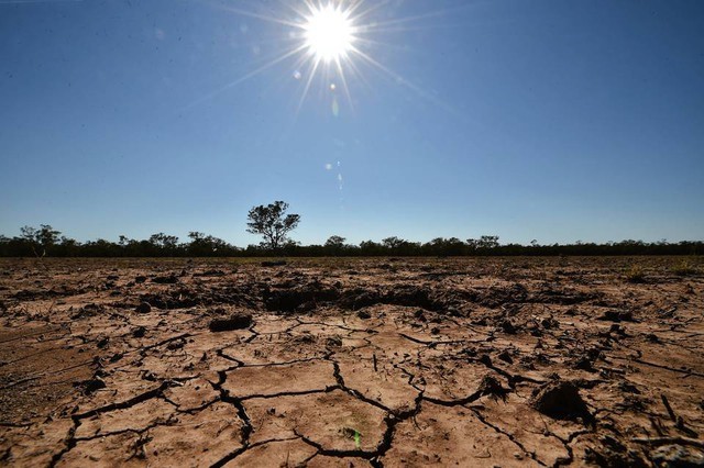 El Nino c&amp;oacute; thể sẽ biến nhiều v&amp;ugrave;ng th&amp;agrave;nh 'chảo lửa'.