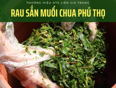 Phú Thọ: Đưa sản phẩm rau sắn muối chua chiếm lĩnh thị trường