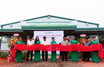 Nông nghiệp Trường Hải - THAGRICO tiếp tục báo lỗ đậm hơn năm trước