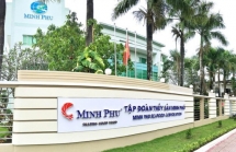 Thủy sản Minh Phú đặt mục tiêu lãi ròng cao chưa từng có trong 16 năm qua