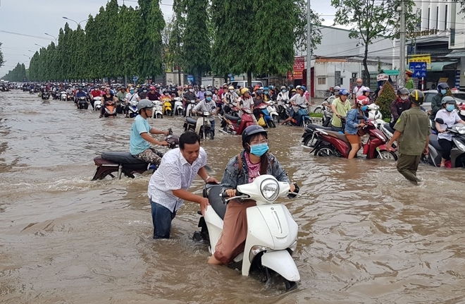 Ảnh minh họa