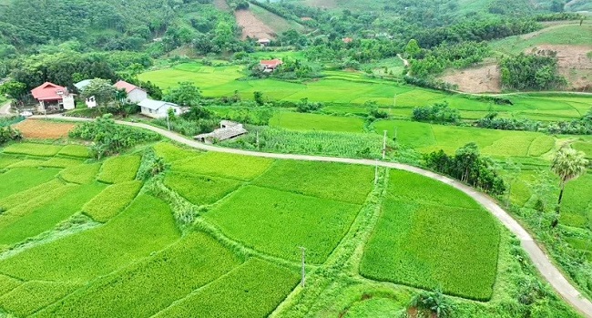 Đường b&amp;ecirc; t&amp;ocirc;ng trải d&amp;agrave;i đ&amp;atilde; l&amp;agrave;m thay đổi diện mạo khắp c&amp;aacute;c miền qu&amp;ecirc; của huyện Y&amp;ecirc;n B&amp;igrave;nh