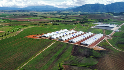 Trang trại Vinamilk L&amp;agrave;o &amp;ndash; Jagro tại cao nguy&amp;ecirc;n Xi&amp;ecirc;ng Khoảng (L&amp;agrave;o) c&amp;oacute;    tổng mức đầu tư giai đoạn một l&amp;agrave; 150 triệu USD