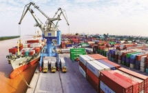 262 doanh nghiệp đạt tiêu chí vào vòng sơ tuyển doanh nghiệp xuất khẩu uy tín năm 2020