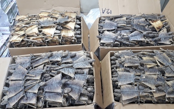 Tắc k&amp;egrave; nằm trong phụ lục II của C&amp;ocirc;ng ước CITES, việc xuất khẩu, nhập khẩu phải c&amp;oacute; giấy ph&amp;eacute;p của cơ quan quản l&amp;yacute; CITES