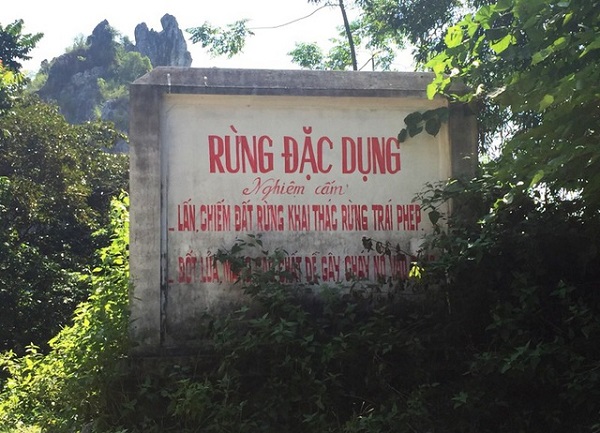 Rừng đặc dụng Hàm Rồng đã được Chính phủ đưa vào diện quản lý và bảo vệ nghiêm ngặt Rừng đặc dụng Hàm Rồng đã được Chính phủ đưa vào diện quản lý và bảo vệ nghiêm ngặt