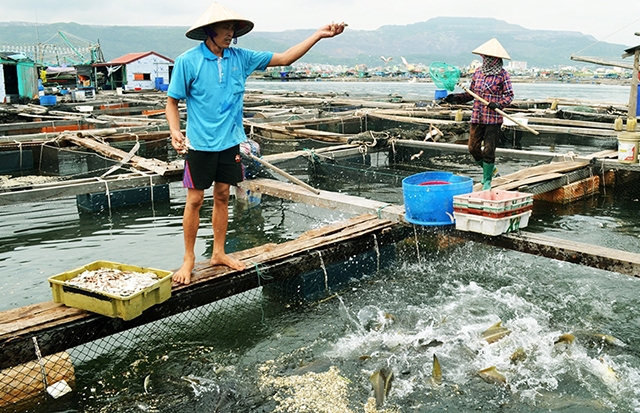 Ki&amp;ecirc;n Giang tăng cường c&amp;ocirc;ng t&amp;aacute;c quản l&amp;yacute; khu vực biển để nu&amp;ocirc;i trồng thủy sản