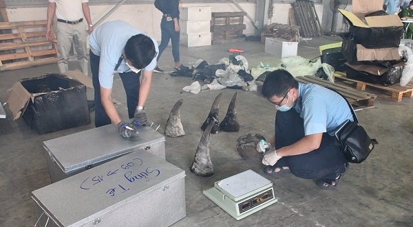Cục Hải quan TP. Đà Nẵng đang kiểm tra l&amp;ocirc; hàng
