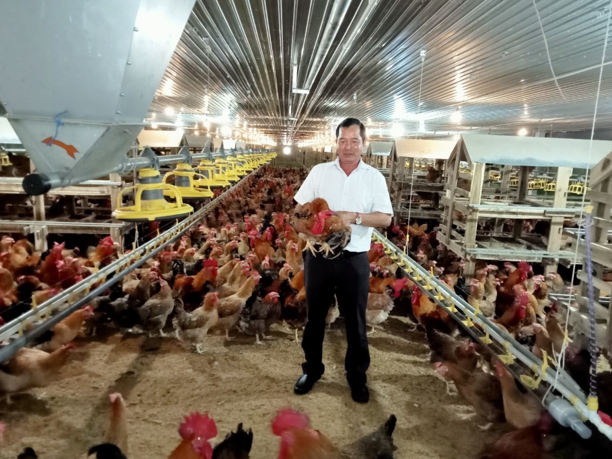 &amp;Ocirc;ng Đinh Ngọc Khương b&amp;ecirc;n đ&amp;agrave;n g&amp;agrave; thương phẩm