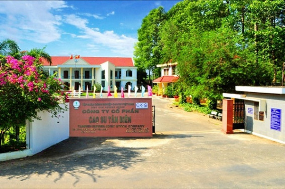 Cao su Tân Biên báo lãi ròng quý II/2021 đạt hơn 81 tỷ đồng