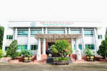 Kinh doanh dưới giá vốn, Cao su Sông Bé vẫn báo lãi sau thuế hơn 20 tỷ đồng