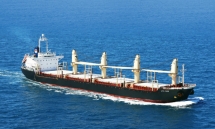 Qua nửa đầu năm 2021, Vận tải Biển Việt Nam vượt gấp 7 lần chỉ tiêu lãi trước thuế cả năm