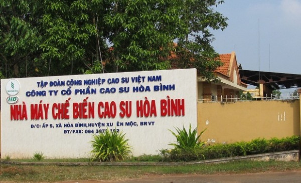 Cao su H&amp;ograve;a B&amp;igrave;nh - HRC b&amp;aacute;o l&amp;atilde;i sau thuế cả kỳ chỉ đạt hơn 273 triệu đồng
