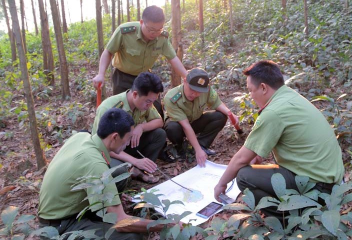 Lực lượng kiểm l&amp;acirc;m H&amp;ograve;a B&amp;igrave;nh tăng cường b&amp;aacute;m s&amp;aacute;t địa b&amp;agrave;n để ph&amp;aacute;t hiện, xử l&amp;yacute; c&amp;aacute;c h&amp;agrave;nh vi vi phạm l&amp;acirc;m luật