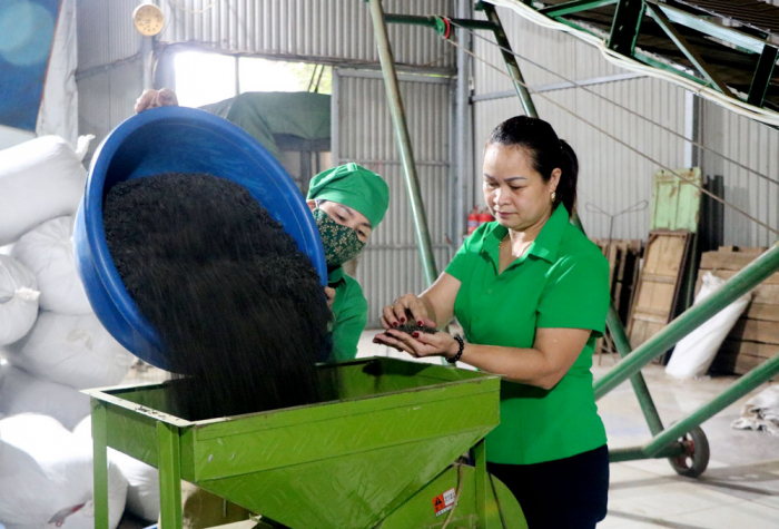 HTX Ch&amp;egrave; Th&amp;agrave;nh Nam đầu tư hơn 7 tỷ đồng để mua m&amp;aacute;y m&amp;oacute;c phục vụ sản xuất